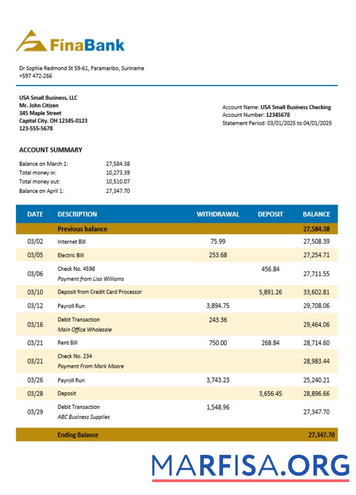 Blank Suriname Finabank enterprise statement Word and PDF template